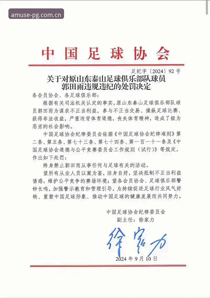 资深球迷分享：从足协禁足名单看中国足球反腐的实战经验